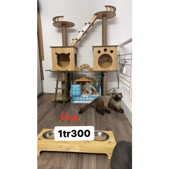 (CÓ SẴN) Cây mèo (cat tree/trụ cào móng/nhà cây) bằng gỗ chất lượng cao, bền