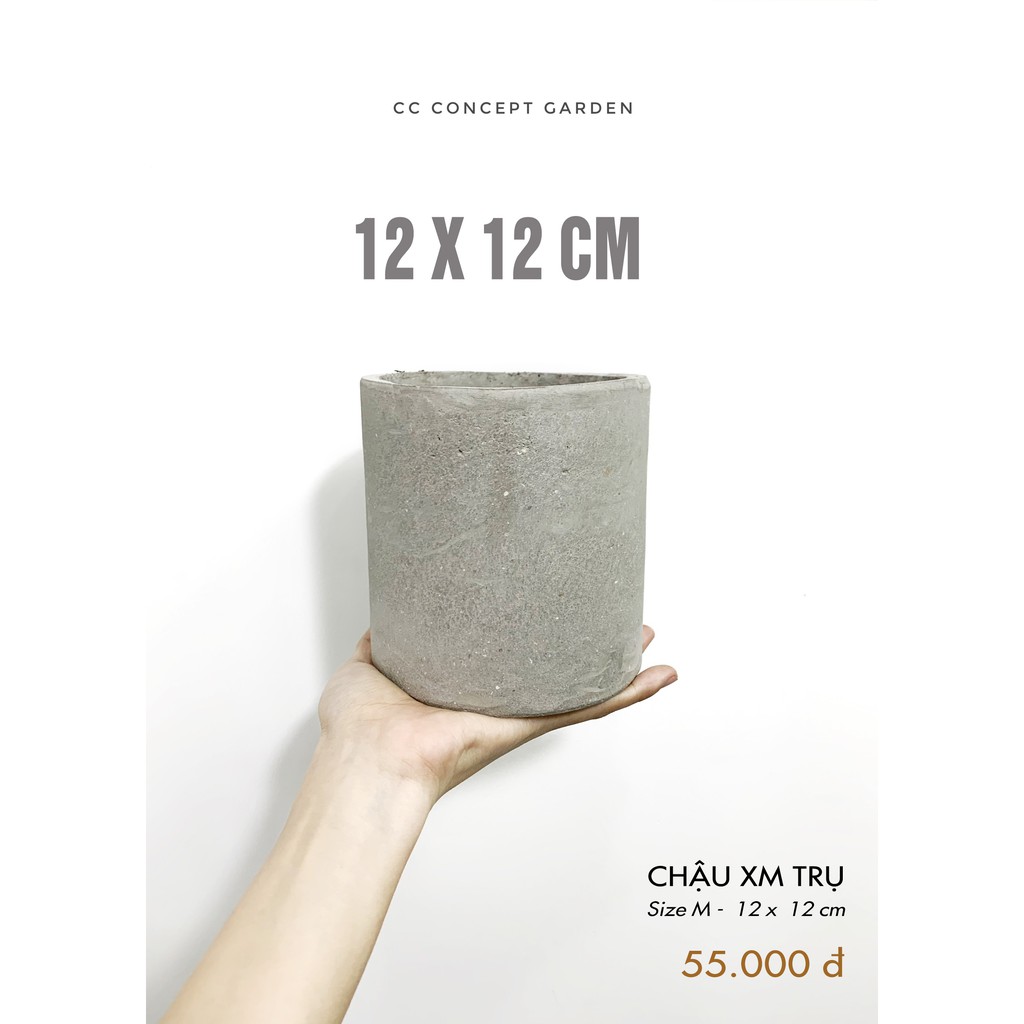 Chậu Xi Măng Trụ 12x12cm