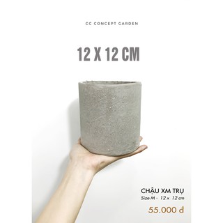 Chậu Xi Măng Trụ 12x12cm