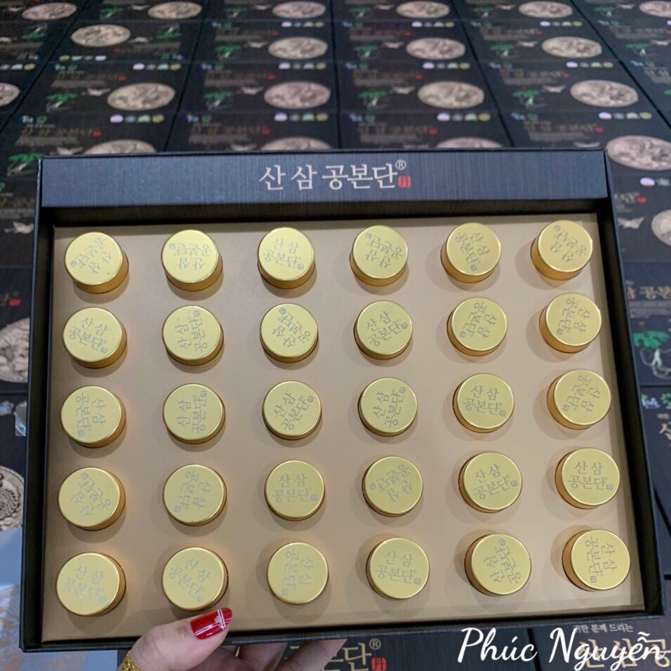 Viên Nhân Sâm Núi Wild Ginseng Gong Bon Dan Hàn Quốc - Hộp gỗ 30 viên