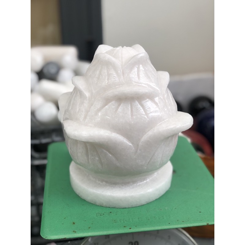 Cặp hoa sen đá non nước 18x20 cm HANMYNGHE