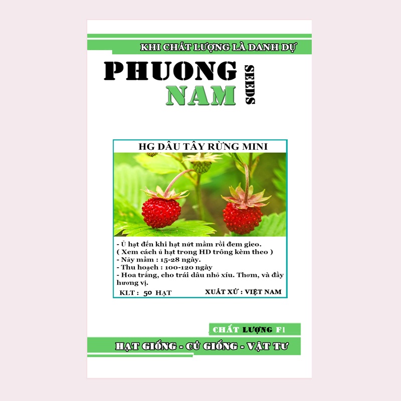 50H - HẠT GIỐNG DÂU TÂY RỪNG MINI