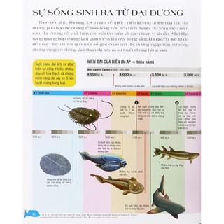 Bách Khoa Toàn Thư Về Động Vật Biển
