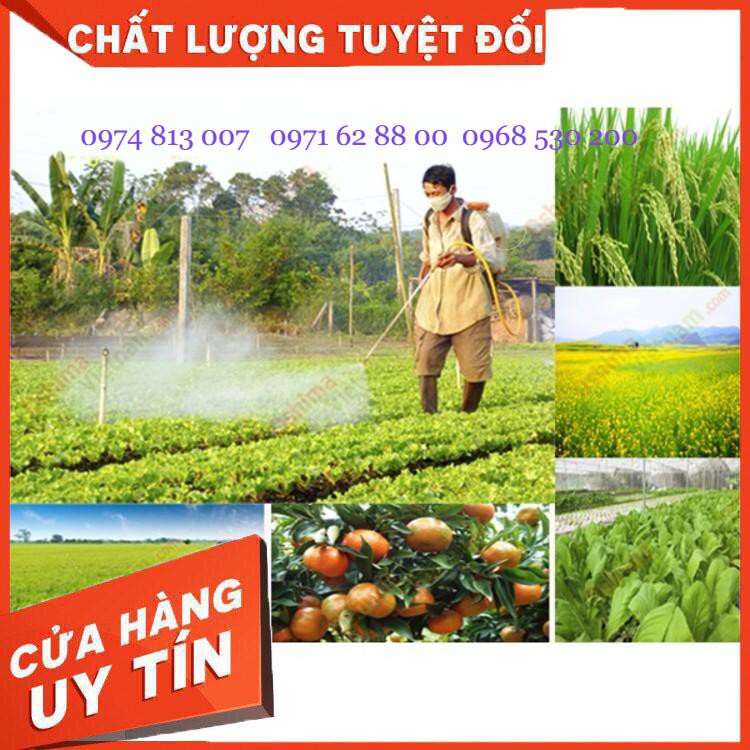 NÓNG! Máy Phun Thuốc Sâu đeo vai chạy xăng Oshima 768CX, Bình xịt bơm thuốc khử trùng động cơ 2 thì Giá cực Chất