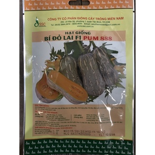 Hạt giống bí đỏ lai f1 pum 888