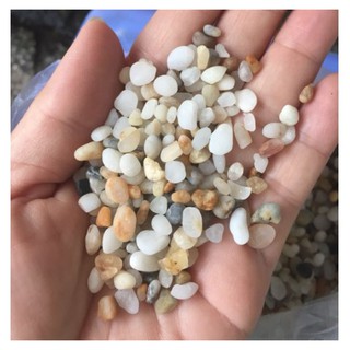 Sỏi Biển, sỏi trang trí chậu cây cảnh, làm vườn