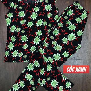 ĐỒ BỘ MẶC NHÀ TRUNG NIÊN