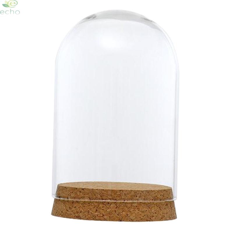 Glass Display Dome Cloche with Wooden Base Flower Landscape Holder Glass Cover