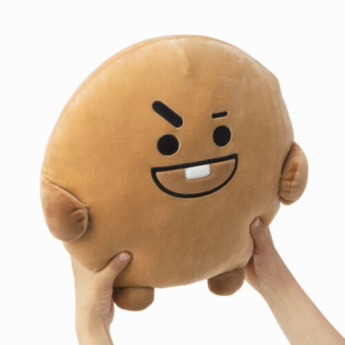 Gối ngủ poong cushion bt21 Kpop