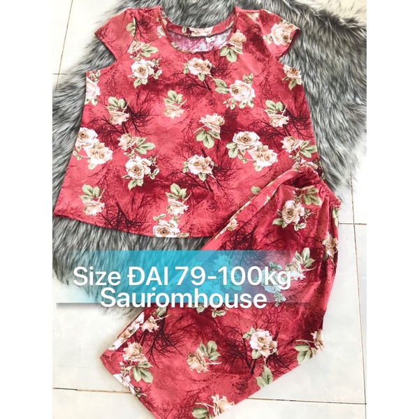 [BIGSIZE 7,8: 79 - 100kg] Đồ Bộ trung niên thun quần lửng thun aty size đại - nhiều màu