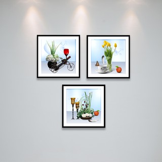 bộ 1 khung ảnh 30X40 phạm Gia