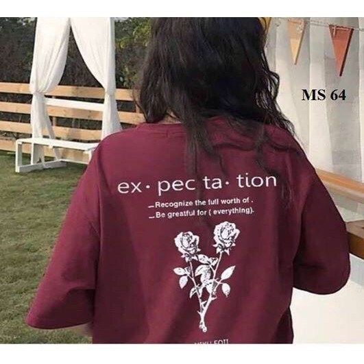 [Thanh lý] Áo phông tay lỡ dáng rộng cho nam/nữ, Freesize từ 40-65kg - A19