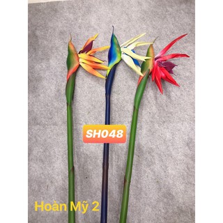 Hoa Vải Hoàn Mỹ 2 - Cành Thiên Điểu Cao Su (SH048)