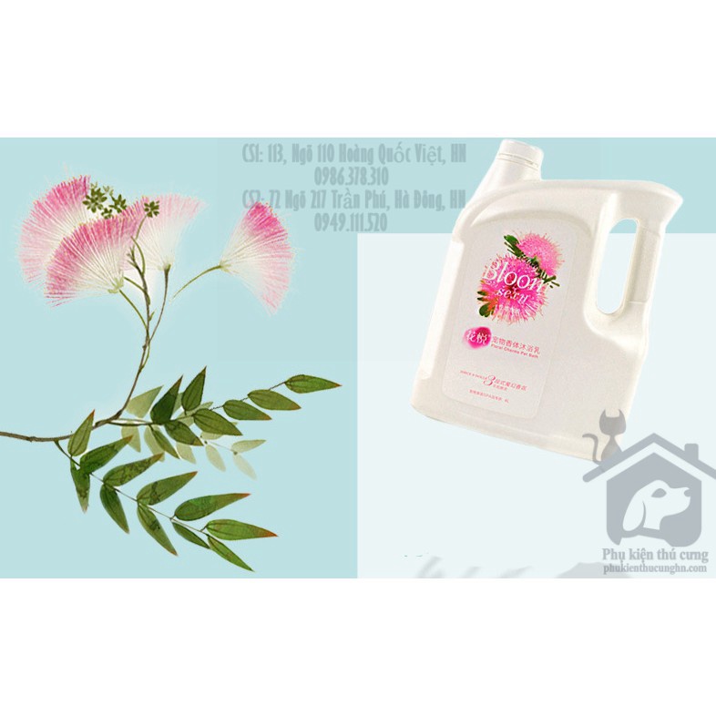 Sữa tắm cho chó mèo hương hoa - Joyce & Dolls Blom Sexy can 4L - phụ kiện thú cưng