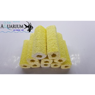 Combo 10 cây sứ lọc nước