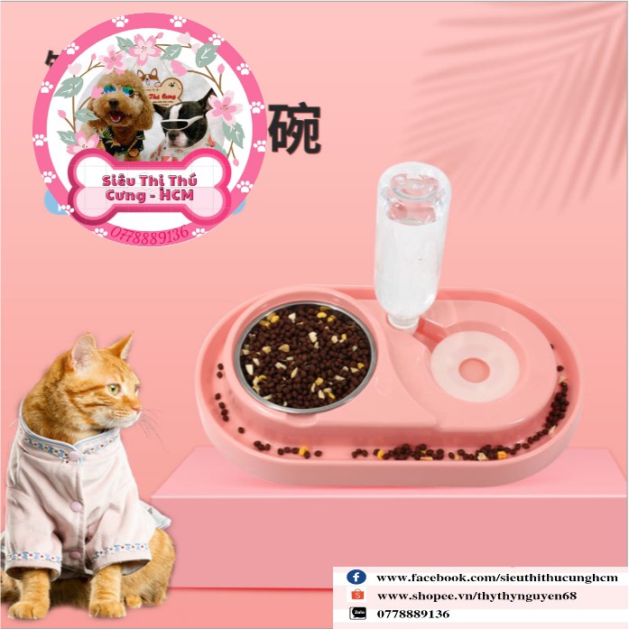 🦊 BÁT ĂN CHỐNG KIẾN DÀNH CHO CHO MÈO 🦊