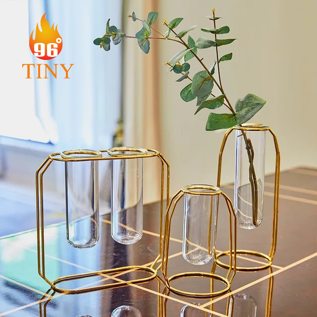 Bình thủy tinh cắm hoa, trồng cây thủy sinh, trang trí để bàn, phong cách sang trọng, cao cấp, bền, đẹp, giá rẻ