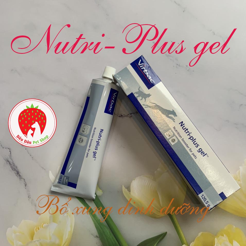 [ Bán sỉ ] Nutri-plus gel ( gel dinh dưỡng) CHO CHÓ MÈO