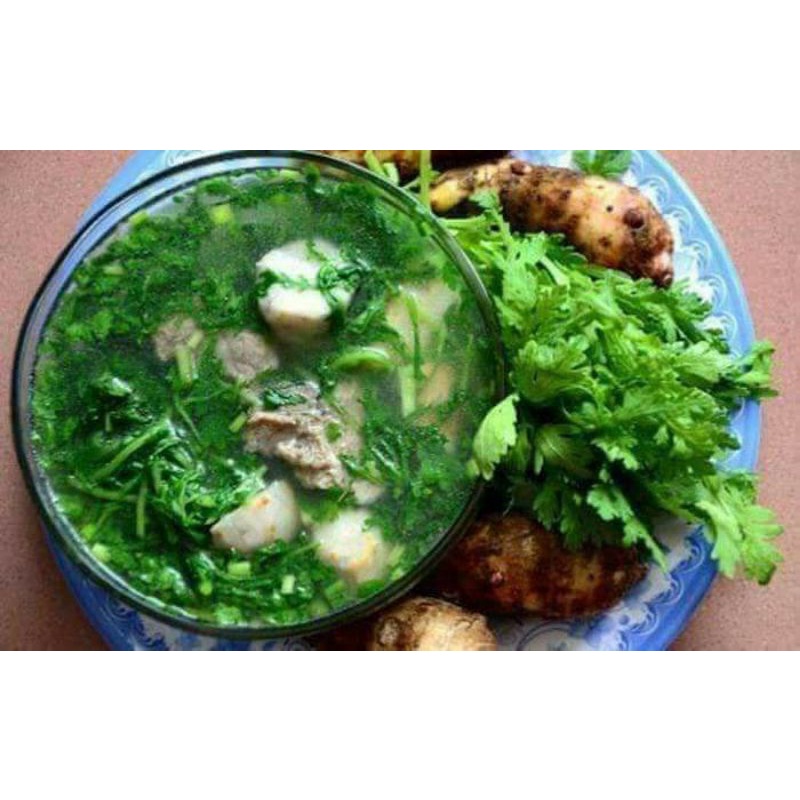 Hạt Giống Rau Cải Cúc f1  🤗 Siêu Nảy Mầm 🥬 năng suất cao
