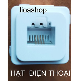 HẠT THÔNG TIN VUÔNG LiOA.