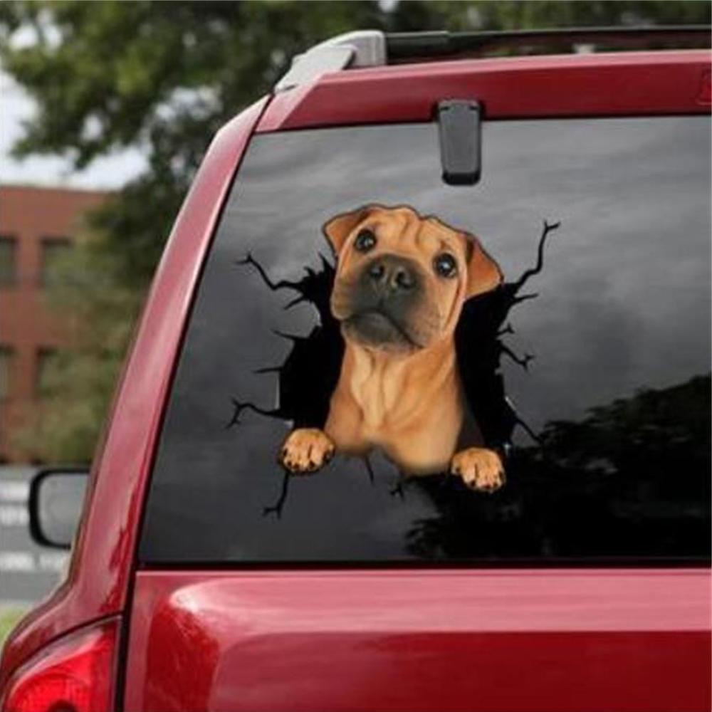 Miếng Dán Trang Trí Cửa Sổ Xe Hơi Bằng Chất Liệu PVC Chống Thấm Nước