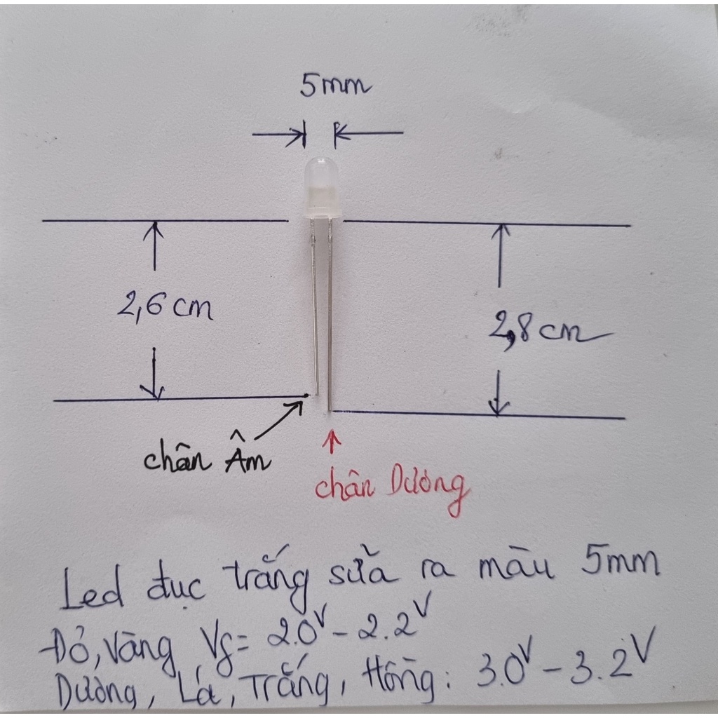 100 con led đục vỏ màu trắng sữa sáng ra màu 5mm