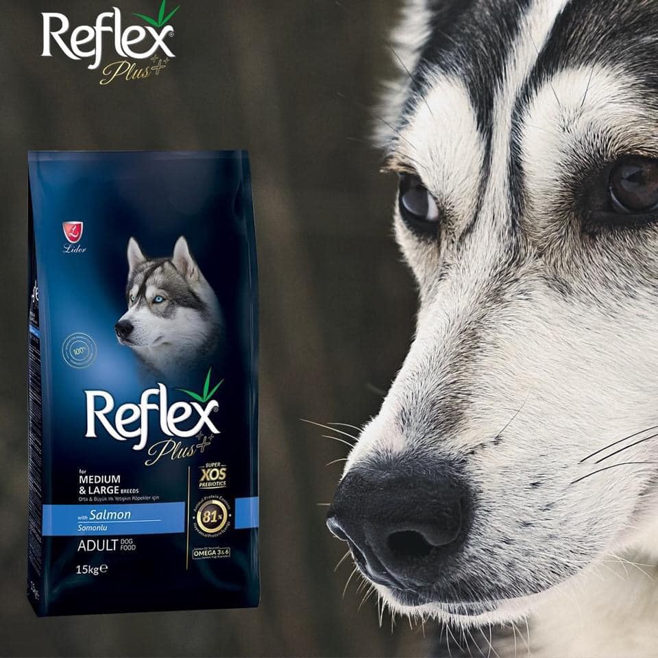 Thức ăn hạt khô cho chó nhỏ, chó lớn Reflex Plus Mini, Medium & Large Breed Adult Dog Food Salmon