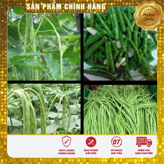 Hạt Giống Đậu Đũa Xanh(20gr)