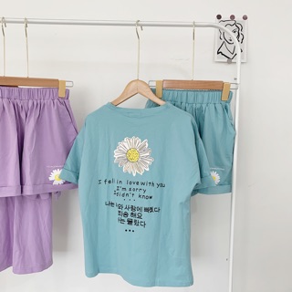 SET BỘ HOA CÚC