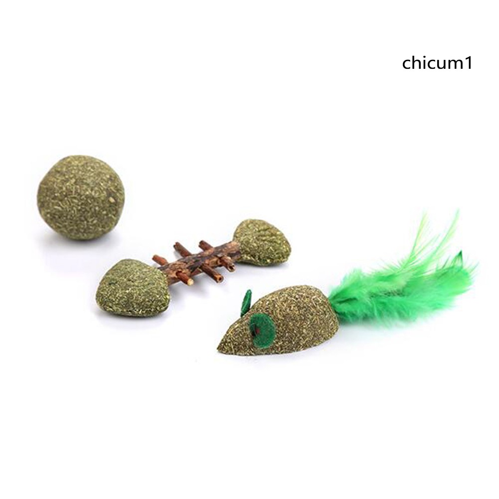 Đồ Chơi Gặm Nhắm Hình Cá Và Chuột Ch2 Cho Mèo