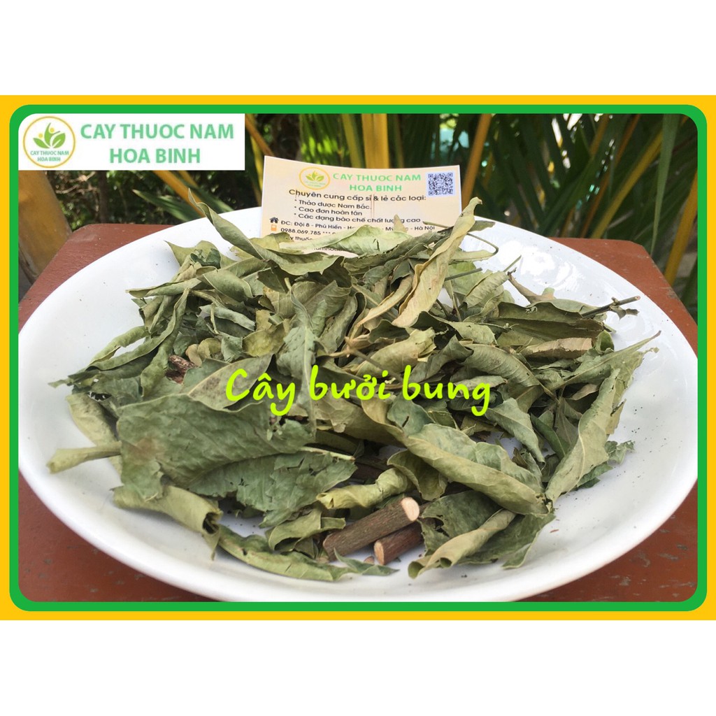 1kg cây bưởi bung trị phong thấp đau nhức (khô, sạch, thơm, mới)