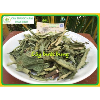 1kg cây bưởi bung trị phong thấp đau nhức (khô, sạch, thơm, mới)