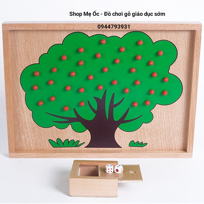 Giáo cụ Montessori - Cây táo học toán