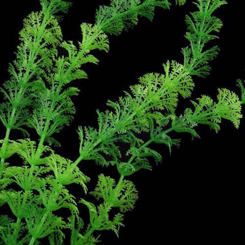 Cây Cỏ Nhựa Nhân Tạo Trang Trí Bể Cá