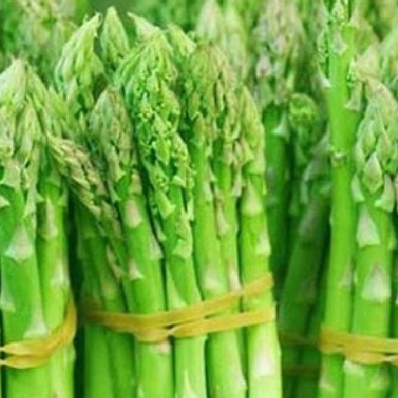 Hạt giống Măng Tây xanh dể trồng f1-gói 20 hạt
