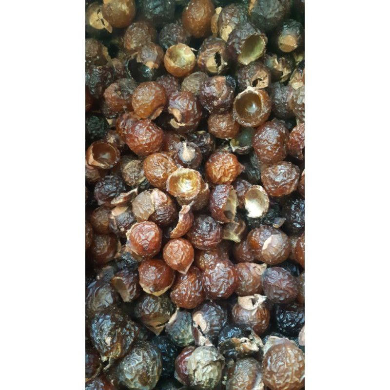 Quả bồ hòn khô 1kg loại 1