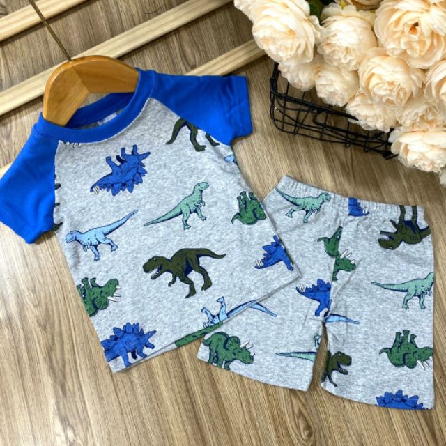 Bộ Carter's xuất khẩu bé trai 9-23kg