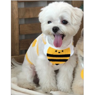 Yếm Đeo Cổ Dễ Thương Cho Chó Mèo