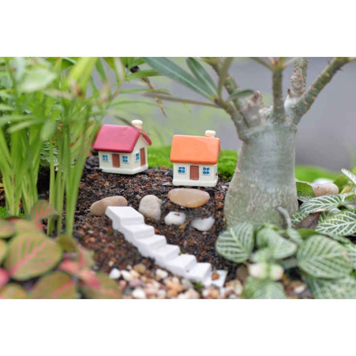 Mô hình nhà nhỏ trang trí tiểu cảnh terrarium