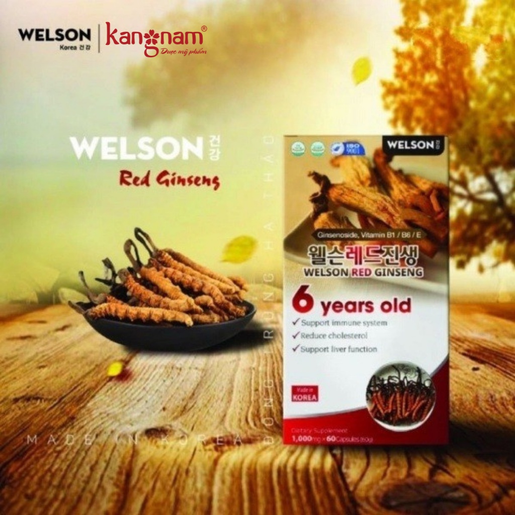Viên hồng sâm bồi bổ sức khỏe Welson Red Ginseng (Lọ 60 viên)