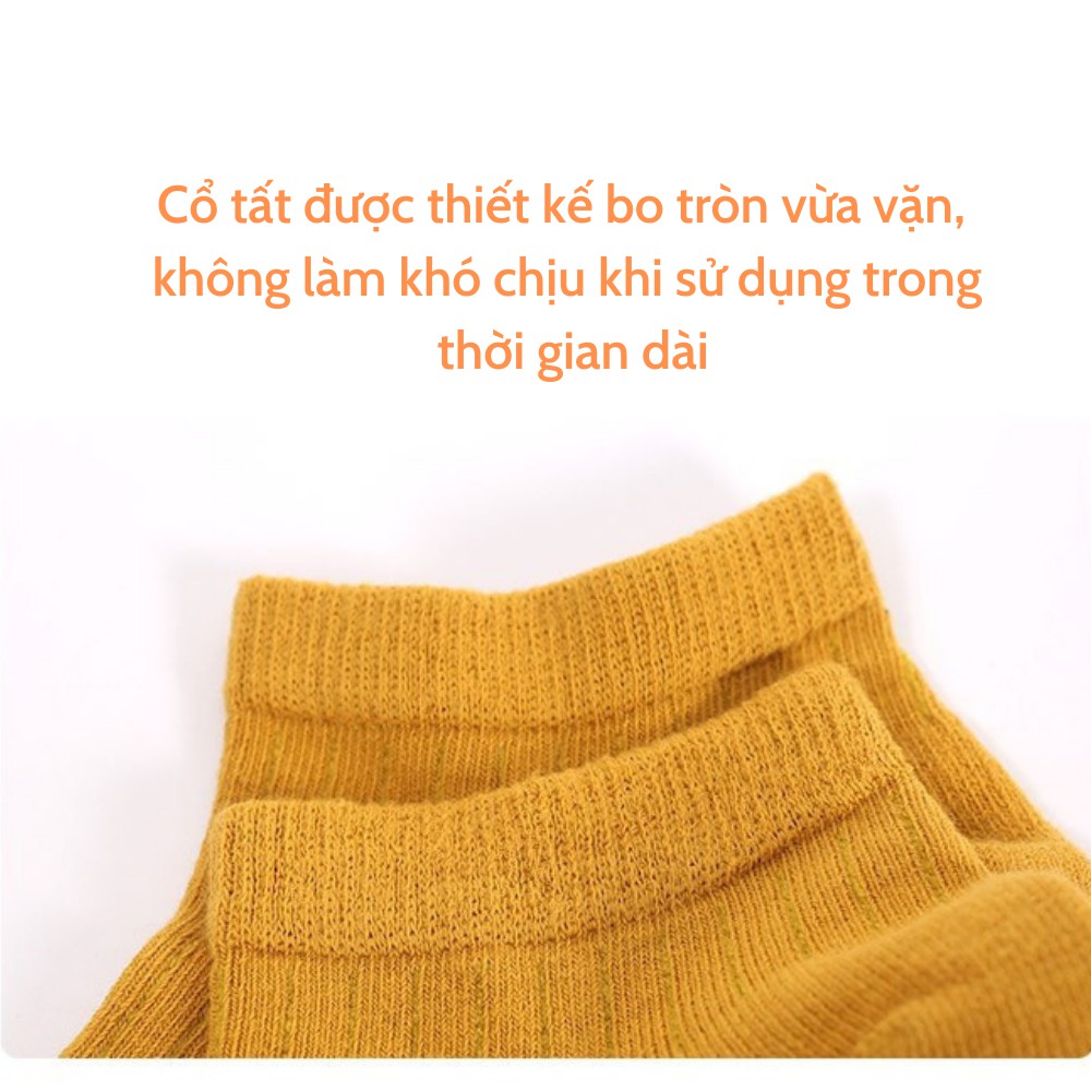 Tất nữ cổ ngắn SET 5 ĐÔI phong cách vớ nữ Vintage, vải len tăm cotton cao cấp