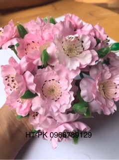 HOA ANH ĐÀO