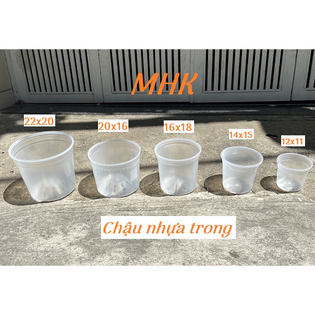 Chậu NHỰA TRONG 20x16 (cm) nhựa cứng trồng cây