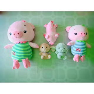 Bộ gấu heo miniso và thỏ xinh