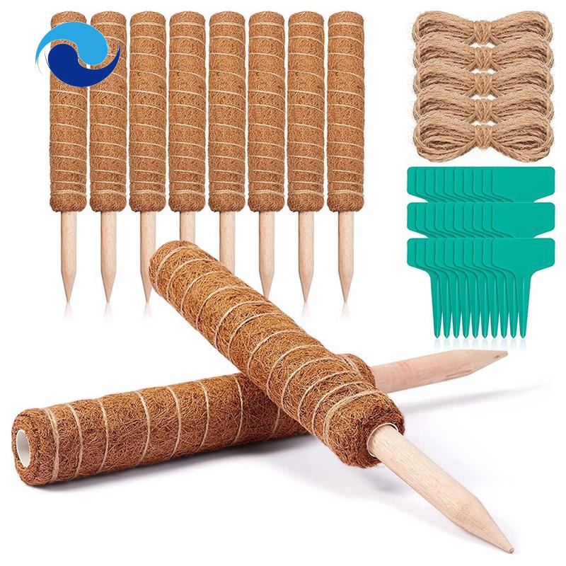 Bộ 10 Thanh Rêu Xoắn 16 inch Hỗ Trợ Nối Dài Kèm 30 Đầu Tabs &amp; 5 Dây Cột