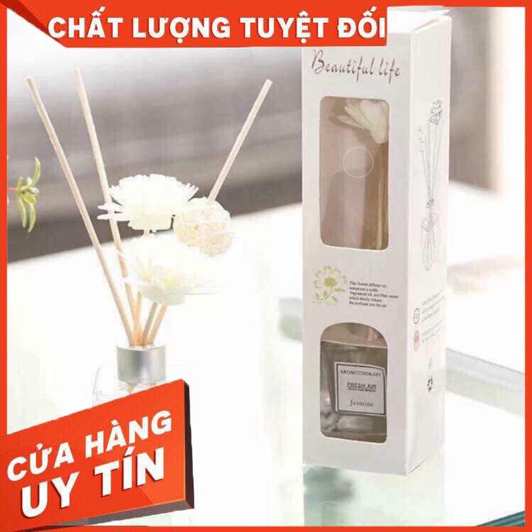 TINH DẦU THƠM PHÒNG THÁI LAN