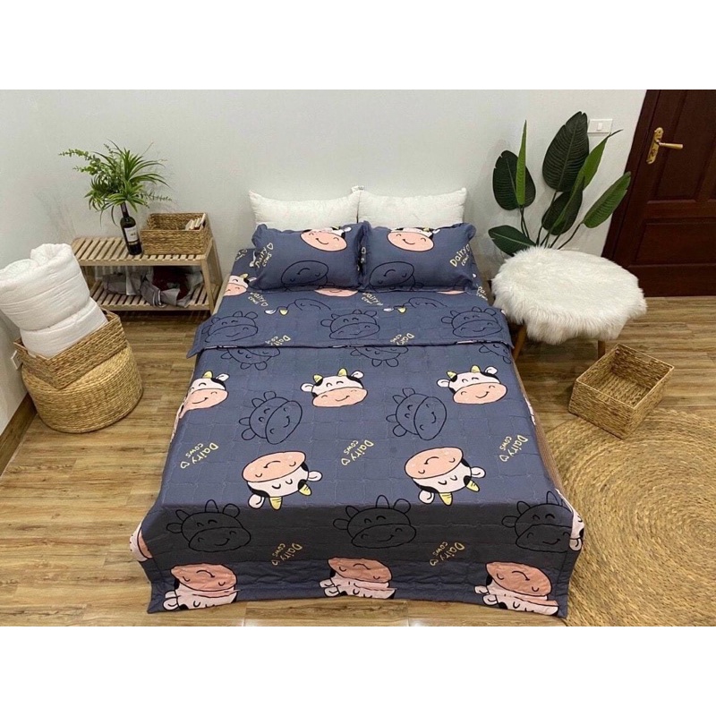 Bộ Chăn Ga Gối 5 Món Chăn HÈ Trần Bông Cotton Poly - 1.6m/1,8m/2,2m Được Chọn Mẫu