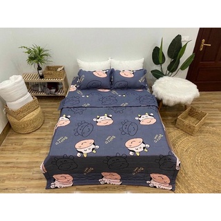 Bộ Chăn Ga Gối 5 Món Chăn HÈ Trần Bông Cotton Poly - 1.6m/1,8m/2,2m Được Chọn Mẫu