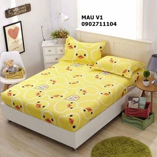 Bộ ga vỏ gối cotton nhiều mẫu