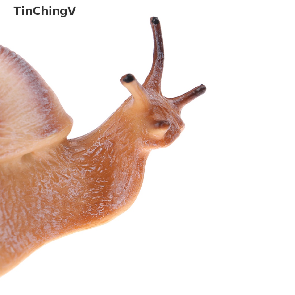 [TinChingV] Đồ trang trí Côn Trùng Động Vật mini Trang Trí Chu Kỳ Mọc Răng